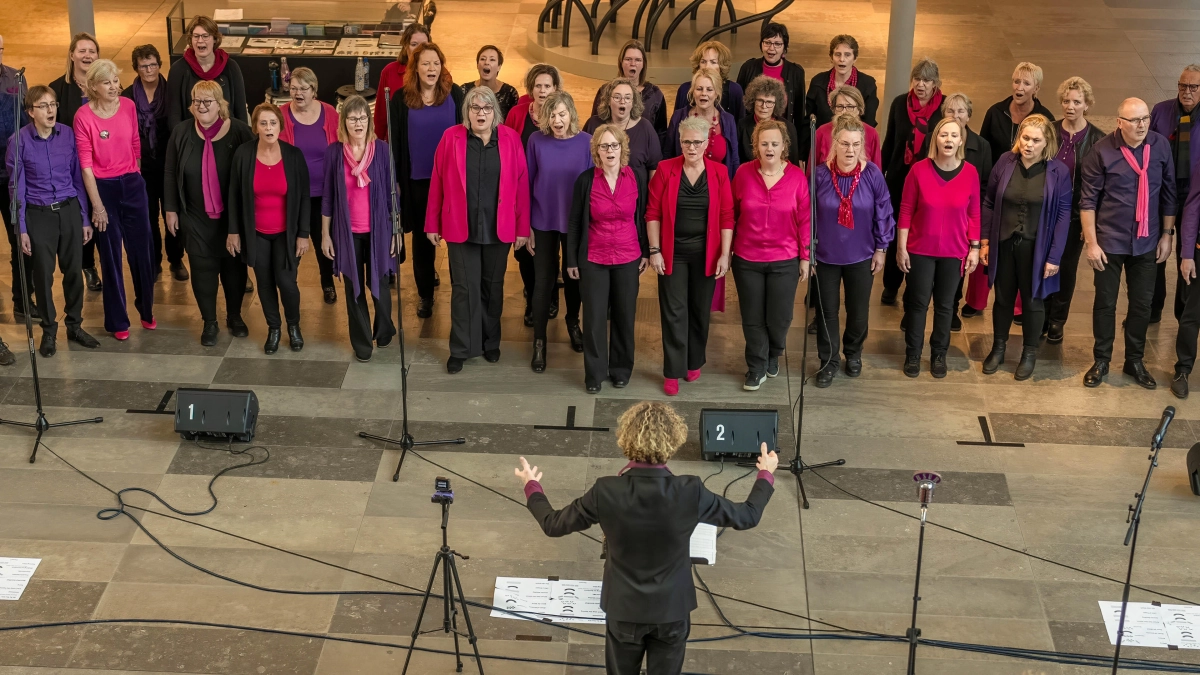 BSUR Koningsdag optreden